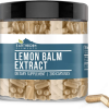 EarthBorn Elements Lemon Balm Extract 350mg, 200 Capsules