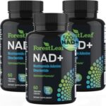 ForestLeaf Pure NAD+ 500mg, 60 Vegetable Capsules